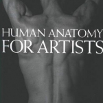 [设定画集] 艺用人体解剖绘画基础教材