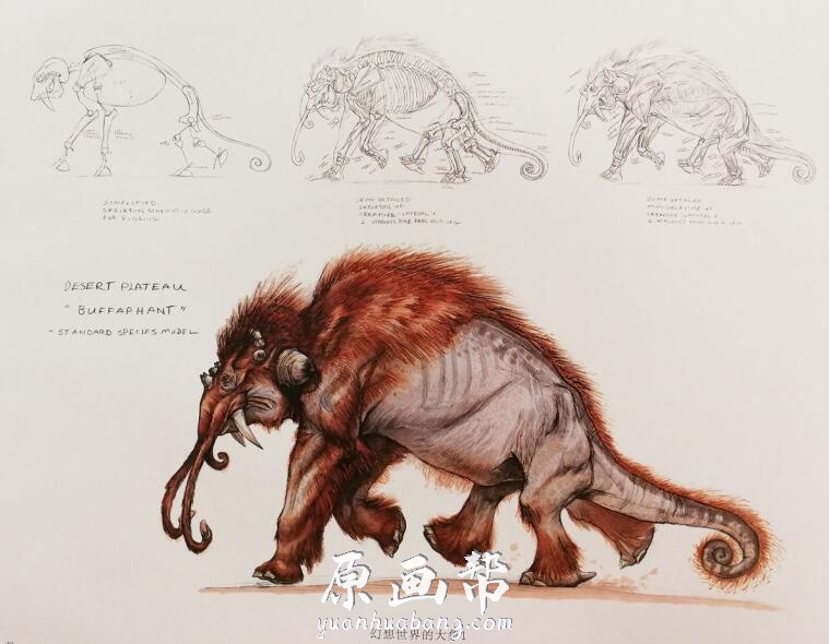 【怪物怪兽】原版动物插画： 《Animals Real and Imagined》动物真实与想象