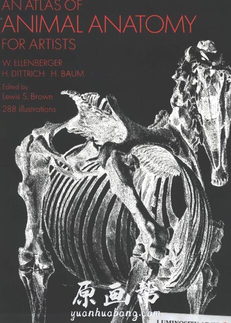 【艺术解刨】艺用动物解剖图谱（An.Atlas.of.Animal.Anatomy.for.Artists)