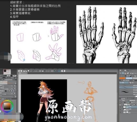 【独家电绘狂】2019骨架班视频教程全套