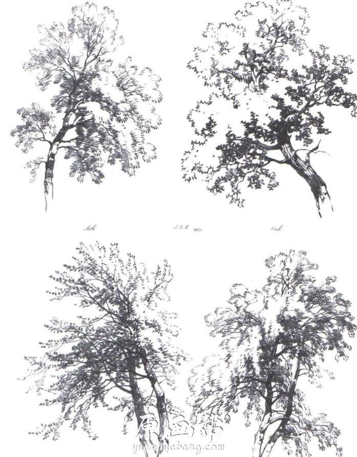 [手绘教程] 树木的素描书 On Draning Trees And Nature PDF格式