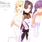 [动画设定] 《Fate stay night》系列的纪念性画集[含游戏回顾、访谈、插图、人物设定] 0012