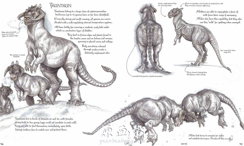 【原画素材】 最专业、华语圈内最具影响的星球大战野外生物设定集