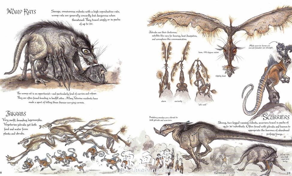 【原画素材】 最专业、华语圈内最具影响的星球大战野外生物设定集