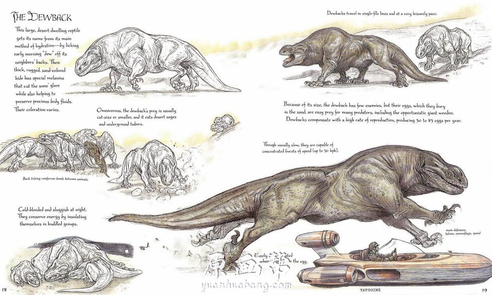 【原画素材】 最专业、华语圈内最具影响的星球大战野外生物设定集
