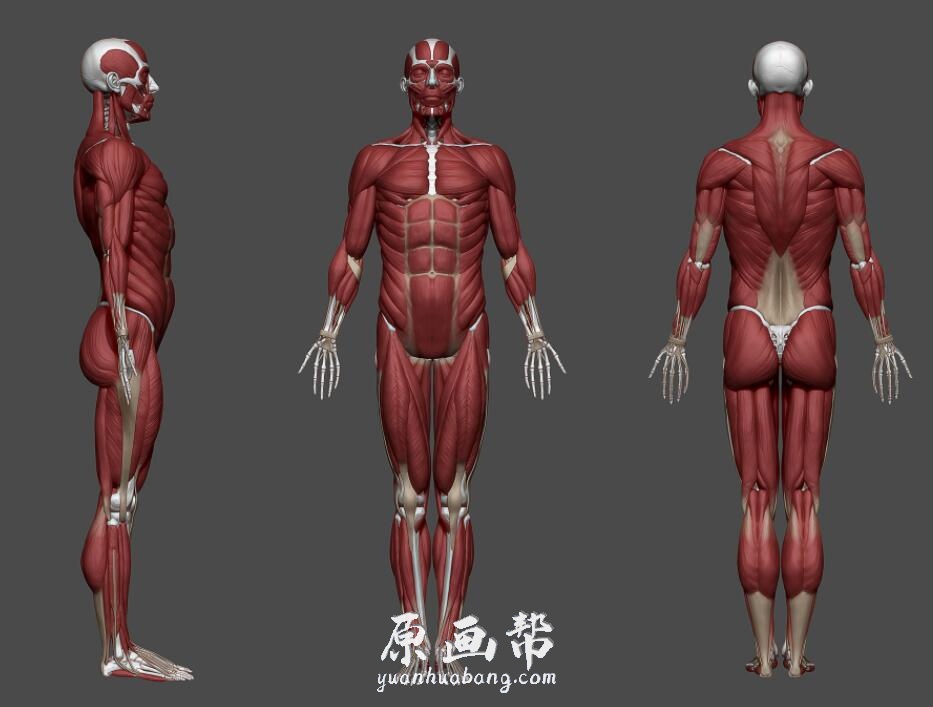 【原画素材】A站797期 93P乌克兰Tamara Konstanchenko角色雕刻作品欣赏konstanchenko  zbrush参考素材