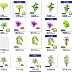 [CG插画] 手绘花卉草本植物PNG+PSD免扣设计素材60P