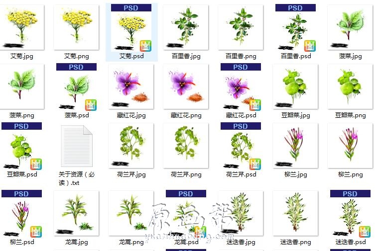 [CG插画] 手绘花卉草本植物PNG+PSD免扣设计素材60P