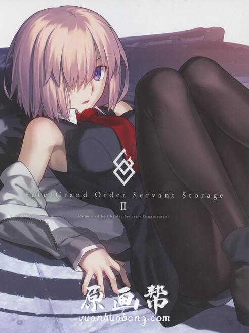 [二次元] FATE  GRAND ORDER SERVANT STORAGE 2 二次元角色原画图集 164P