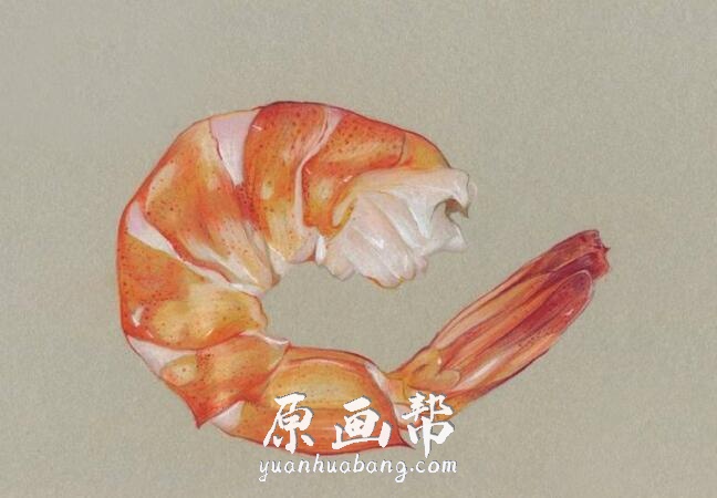 [传统绘画] 国外小清新水彩 彩铅 食物插画临摹素材图1515p  附带绘制过程