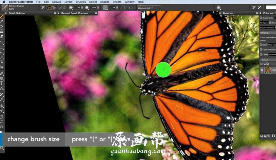 [插画教程] Painter 2019数字绘画全面核心技术训练视频教程