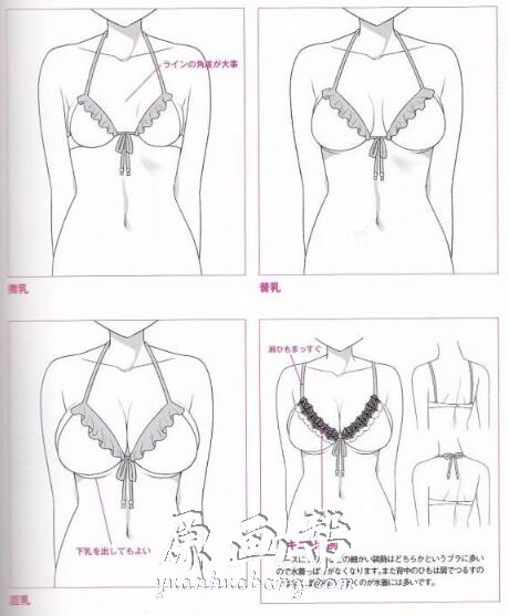 [书籍教程] 如何画好女人的胸部【PDF原版书78P】