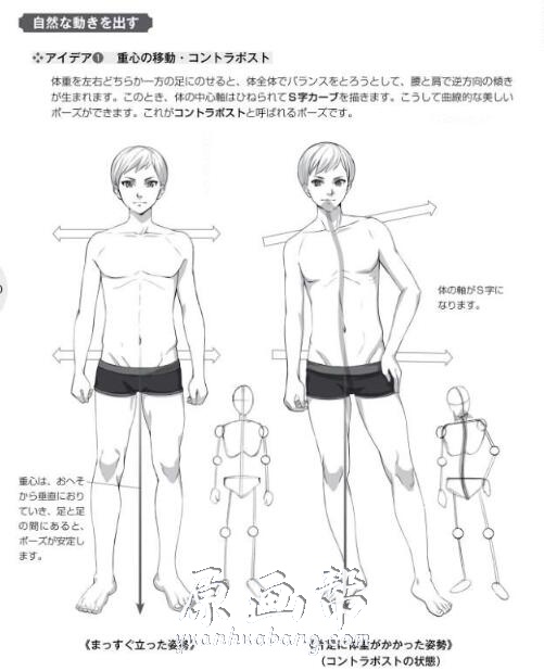 [书籍教程] 如何绘制男性MOE人物姿态-姿态剖面图【PDF原版书178P】