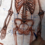 [美术基础] 艺用人体解剖结构完整剖析3-百度网盘4.09G