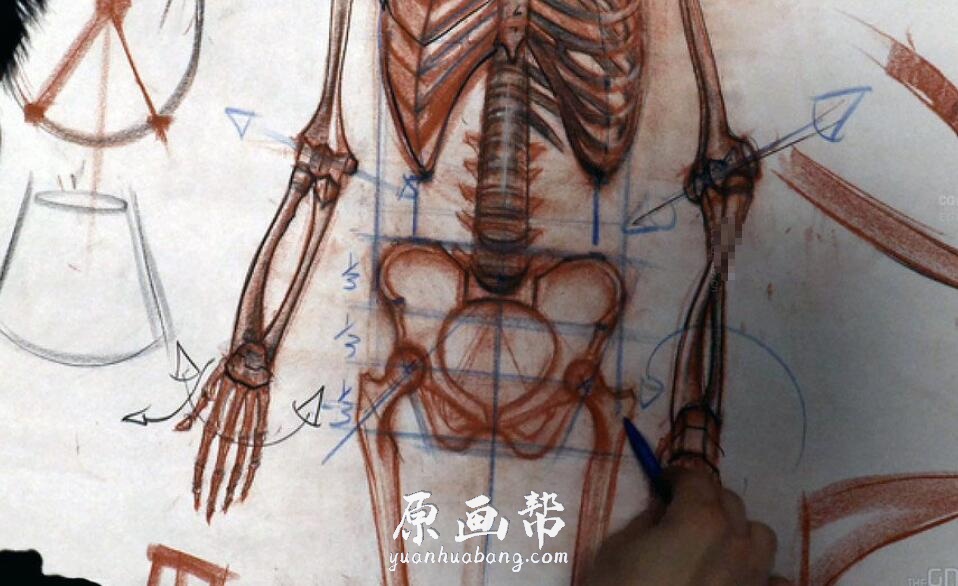 [美术基础] 艺用人体解剖结构完整剖析3-百度网盘4.09G