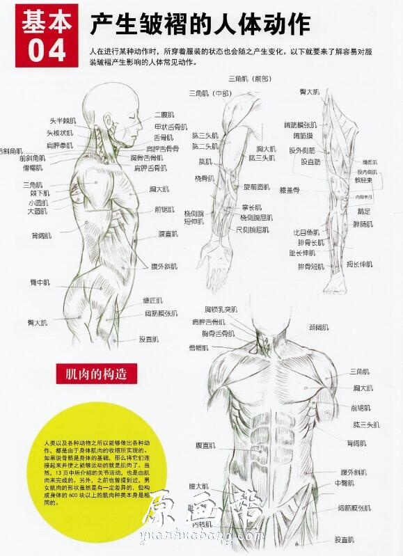 [书籍教程] 【服装的褶皱实践技法】-漫画插画进阶教程