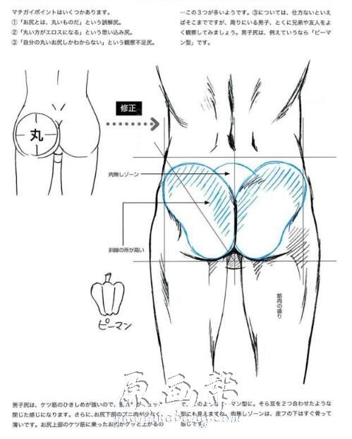 [书籍教程] 怎么画好男人的屁股【PDF原版书71P】