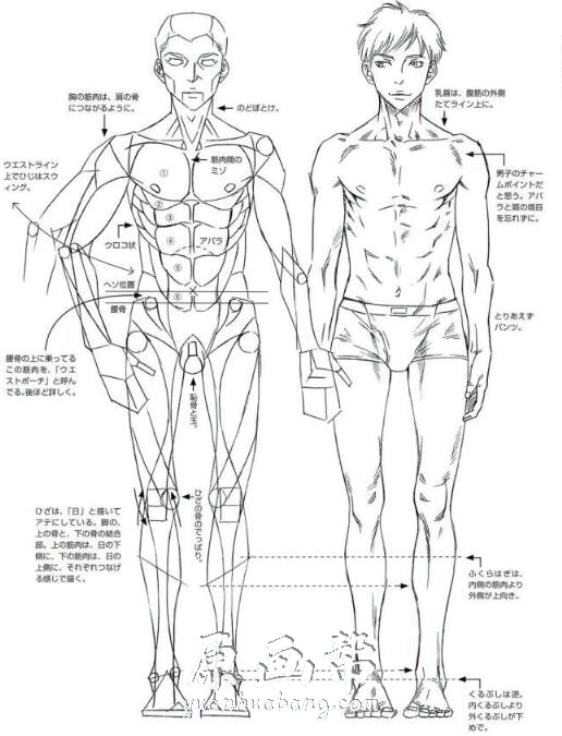 [书籍教程] 怎么画好男人的屁股【PDF原版书71P】