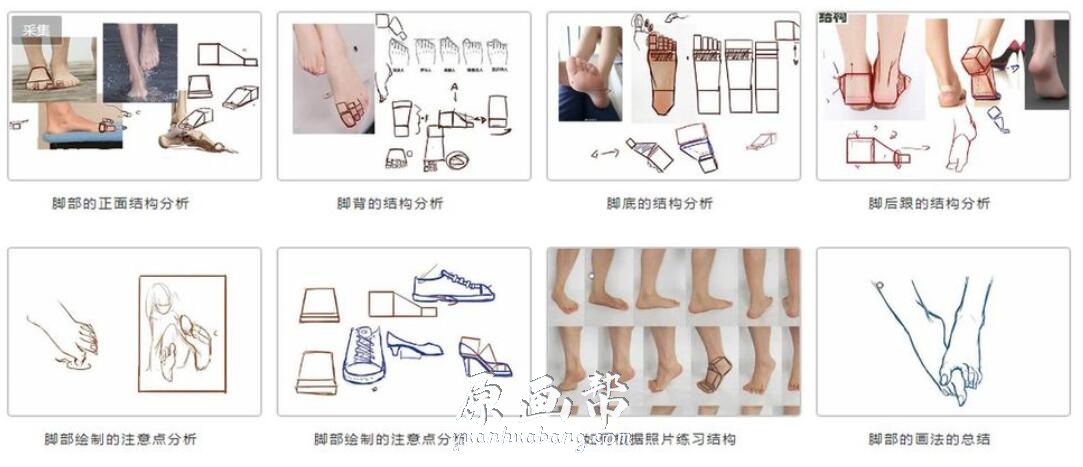 [动漫教程] SAI入门基础日漫系列视频教程合集