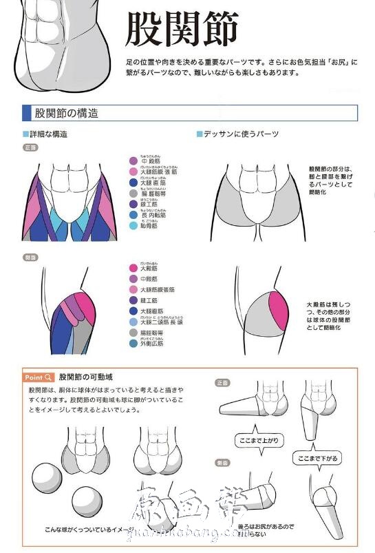 [书籍教程] 数字插图的“身体”画法百科词典179P