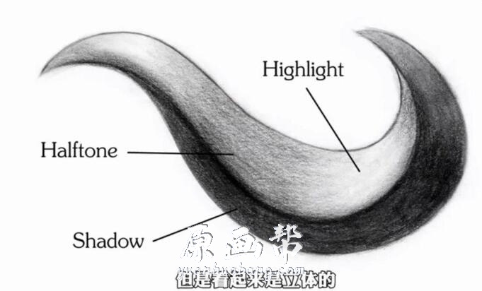 [美术基础] proko 详细人头画法中文字幕