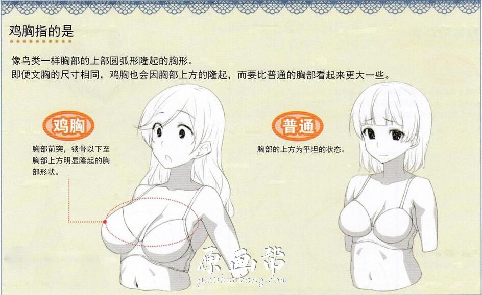 [书籍教程] 动漫角色内衣的绘画法 842M中文版教程