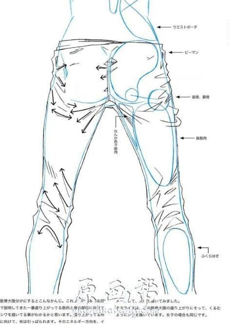 [书籍教程] 怎么画好男人的屁股【PDF原版书71P】