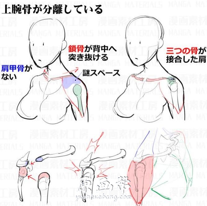 [动漫教程] 【实用冷知识】实用漫画技法教程-漫画素材工房