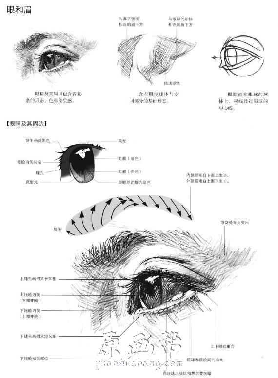 [美术基础] [三泽宽志人体教程]-人体结构写生应用手帖 92.54M