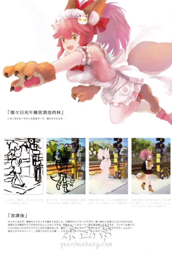 [原画素材]-p站美图 西木地図(Nishiki Chizu)画师【玉藻猫】P站FGO角色画集18p