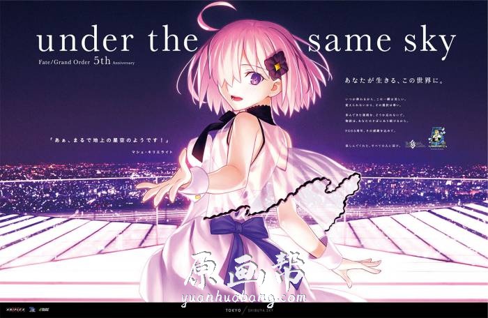 [日韩风格] 【在同一个天空下（under the same sky）】Fgo五周年插画画集25P_原画素材