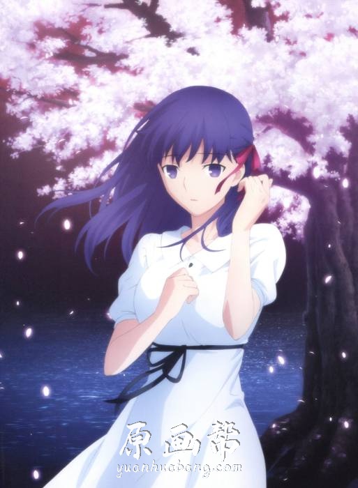 [日韩风格] 第一章【Fate stay night-《天之杯》恶兆之花】剧场版精美画集60p_原画素材