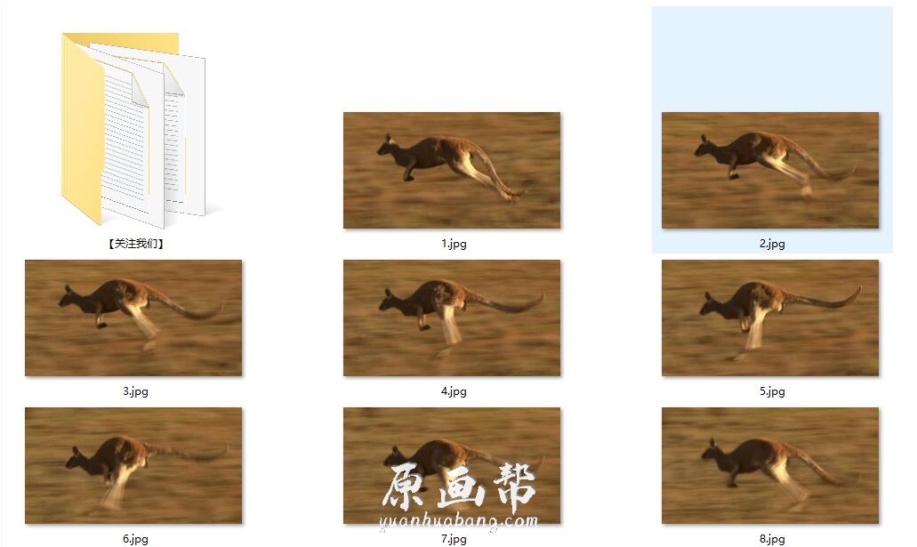 [动画设计] 60种【动物与昆虫】动物运动规律 动画设计画集1729p_CG原画素材