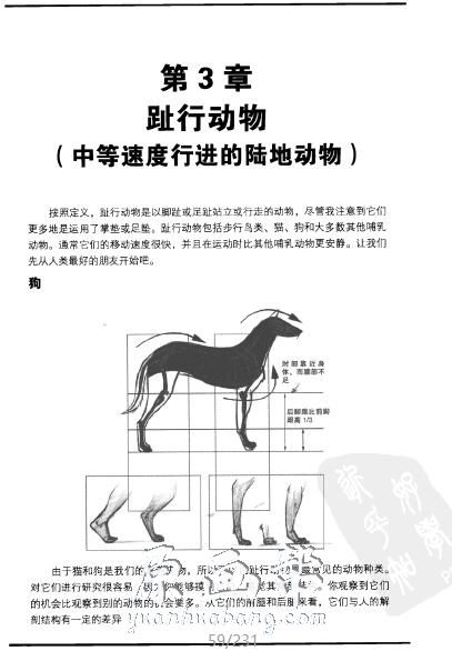 [动画设计] 60种【动物与昆虫】动物运动规律 动画设计画集1729p_CG原画素材