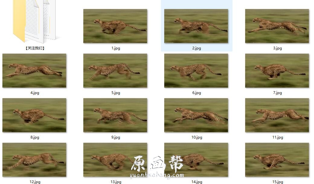 [动画设计] 60种【动物与昆虫】动物运动规律 动画设计画集1729p_CG原画素材