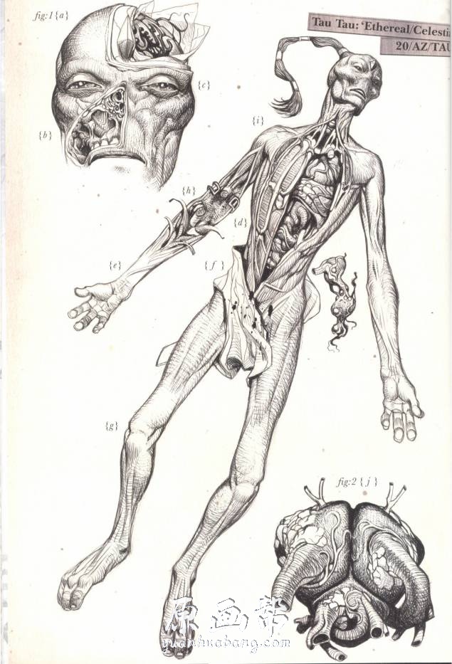 [游戏设定] 【战锤】怪物解剖图原画集101P_CG原画素材