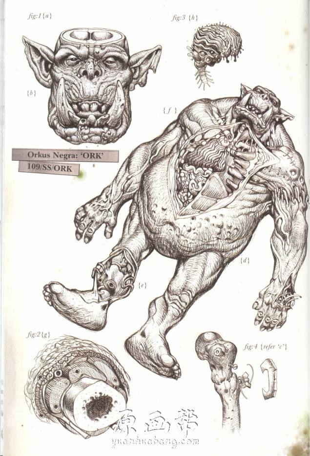 [游戏设定] 【战锤】怪物解剖图原画集101P_CG原画素材