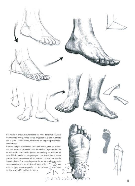 [游戏设定] 【Giovanni手部绘制方法】-手与足素描-乔瓦尼·席瓦尔第(意)_CG原画资源