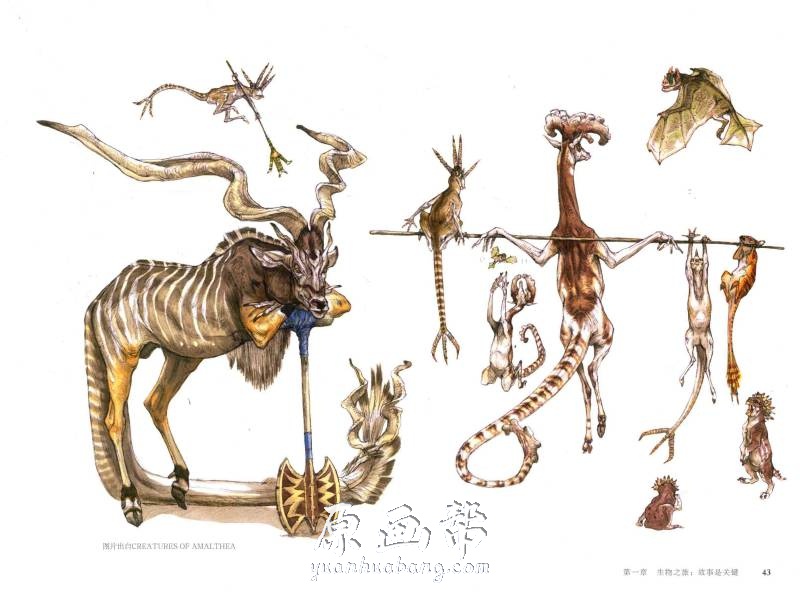 [动物解刨 怪物怪兽] 国际插画大师惠特拉奇的动物绘本（Books3+VideoFiles10）_CG原画资源