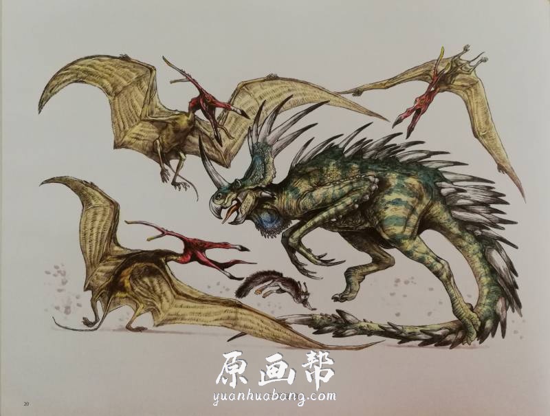 [动物解刨 怪物怪兽] 国际插画大师惠特拉奇的动物绘本（Books3+VideoFiles10）_CG原画资源