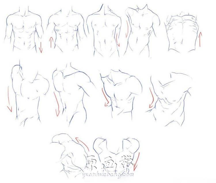 [黑白线稿] 人体绘画基础 人物设计最好的线稿素材_CG原画资源