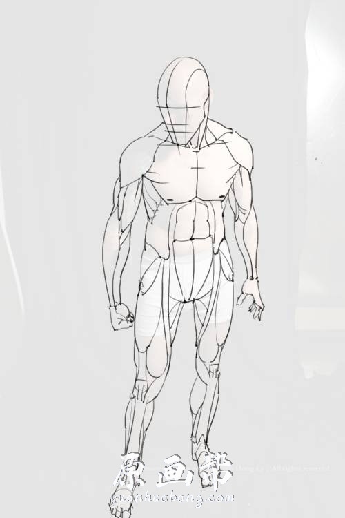 [黑白线稿] 手绘人体解剖系列 绘画专用素材集[296P]_CG原画资源