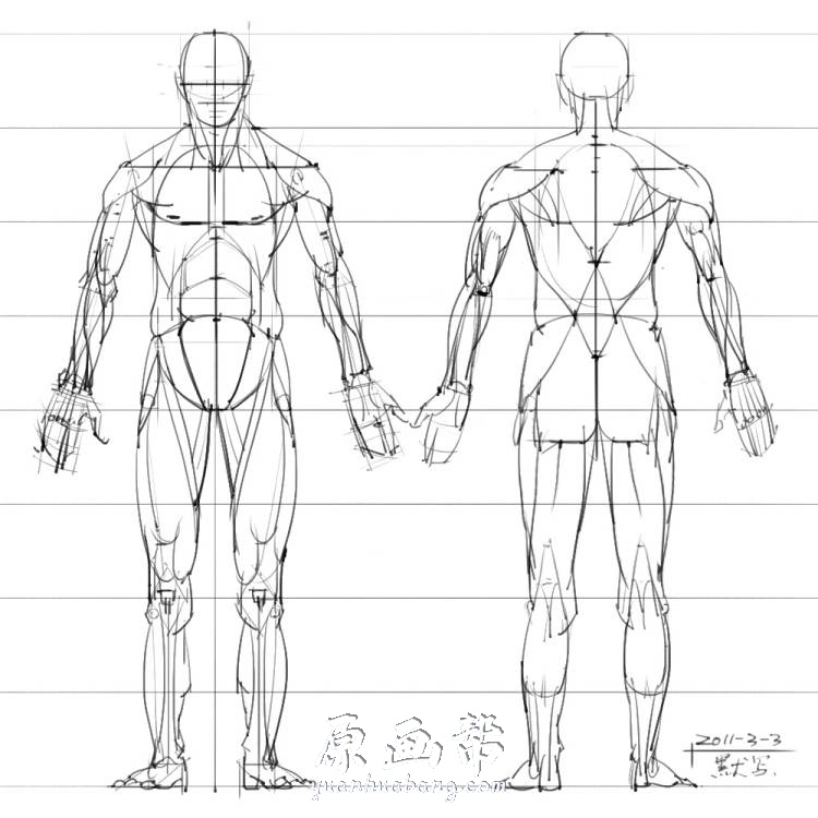 [黑白线稿] 手绘人体解剖系列 绘画专用素材集[296P]_CG原画资源