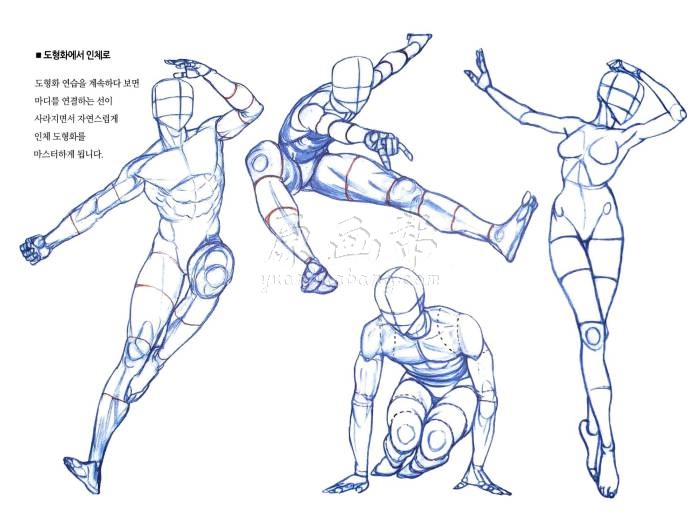 [漫画设定] 韩国漫画家RockHe Kim的人体动态结构教学绘画381p_CG原画资源4826