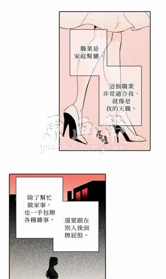 Rabbit Hole 兔子洞